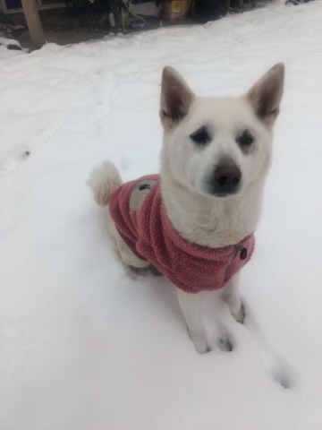 nana