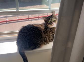 March Pet Of The Month—Prince